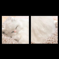 Sleeping Cute Cat for Car Dashboard and Home Decor with Activated Carbon